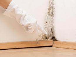 Melville, RI Mold Remediation Company